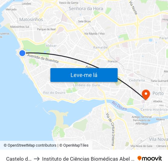 Castelo do Queijo to Instituto de Ciências Biomédicas Abel Salazar - Polo de Medicina map