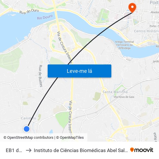 EB1 do Viso to Instituto de Ciências Biomédicas Abel Salazar - Polo de Medicina map