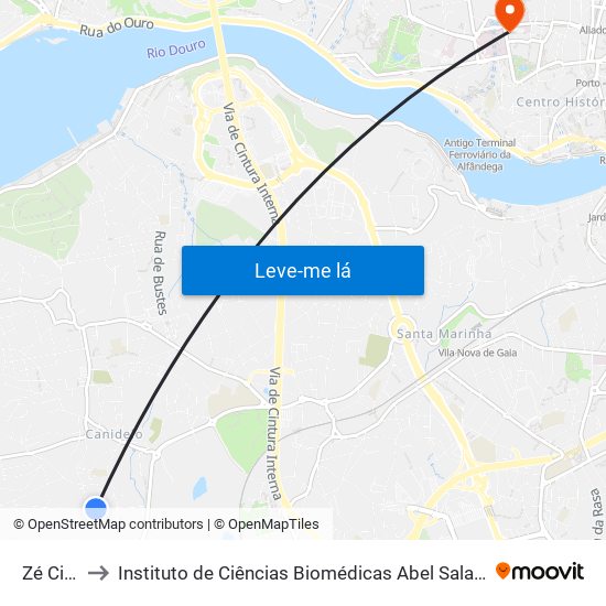 Zé Cidade to Instituto de Ciências Biomédicas Abel Salazar - Polo de Medicina map