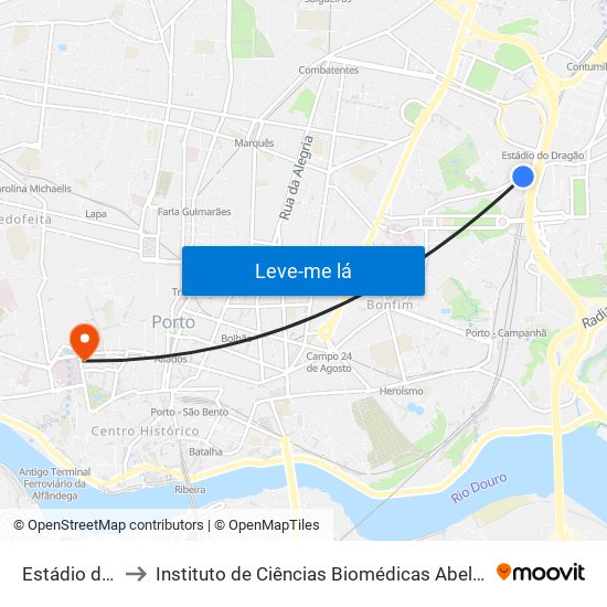 Estádio do Dragão to Instituto de Ciências Biomédicas Abel Salazar - Polo de Medicina map