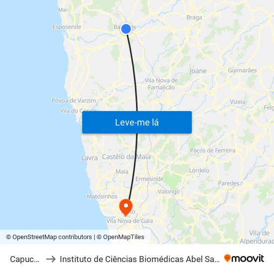Capuchinhos to Instituto de Ciências Biomédicas Abel Salazar - Polo de Medicina map