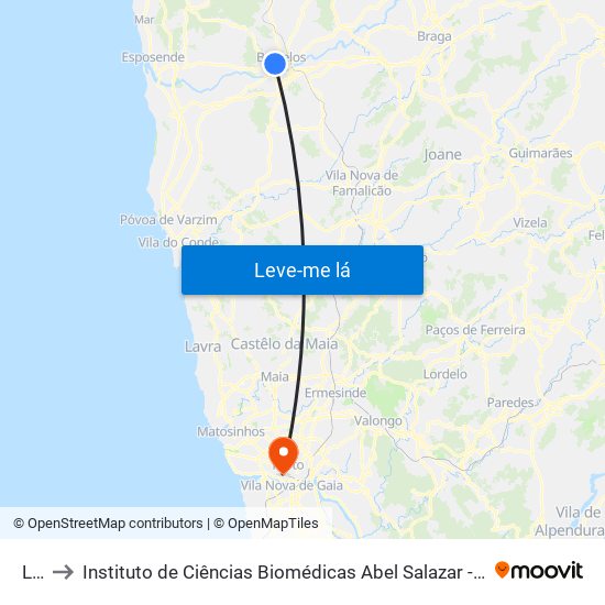 Lidl to Instituto de Ciências Biomédicas Abel Salazar - Polo de Medicina map