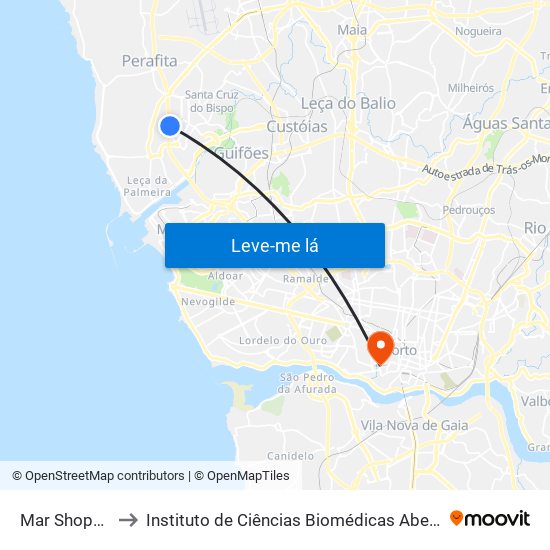 Mar Shopping - Ikea to Instituto de Ciências Biomédicas Abel Salazar - Polo de Medicina map