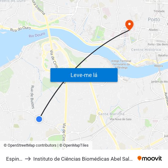 Espinheiro to Instituto de Ciências Biomédicas Abel Salazar - Polo de Medicina map