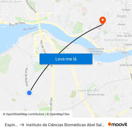 Espinheiro to Instituto de Ciências Biomédicas Abel Salazar - Polo de Medicina map