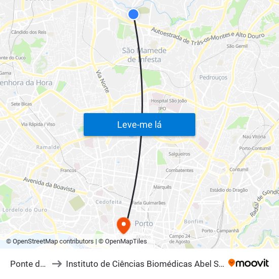 Ponte da Pedra to Instituto de Ciências Biomédicas Abel Salazar - Polo de Medicina map