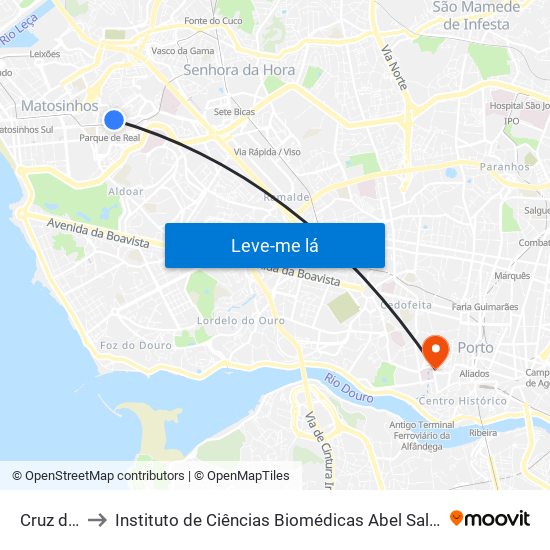 Cruz de Pau to Instituto de Ciências Biomédicas Abel Salazar - Polo de Medicina map