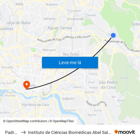 Padre Vale to Instituto de Ciências Biomédicas Abel Salazar - Polo de Medicina map