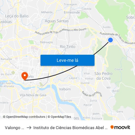 Valongo (Centro) to Instituto de Ciências Biomédicas Abel Salazar - Polo de Medicina map