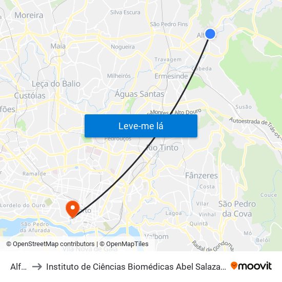 Alfena to Instituto de Ciências Biomédicas Abel Salazar - Polo de Medicina map