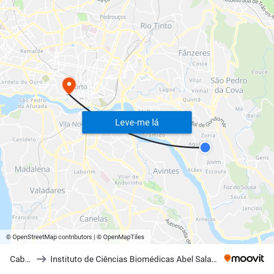 Cabanas to Instituto de Ciências Biomédicas Abel Salazar - Polo de Medicina map