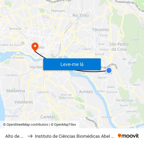 Alto de Ramalde to Instituto de Ciências Biomédicas Abel Salazar - Polo de Medicina map