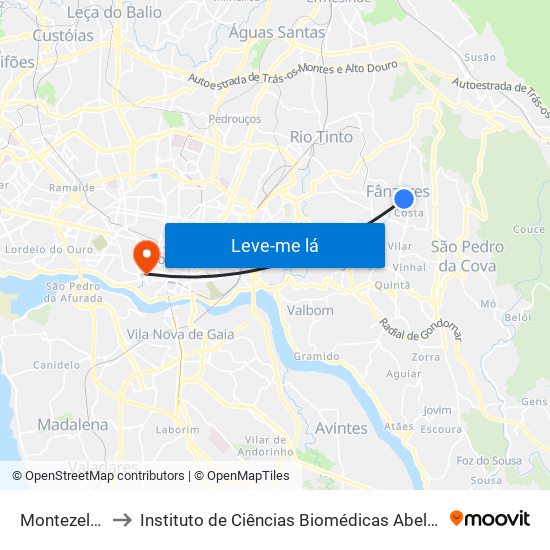 Montezelo Cruz.to to Instituto de Ciências Biomédicas Abel Salazar - Polo de Medicina map
