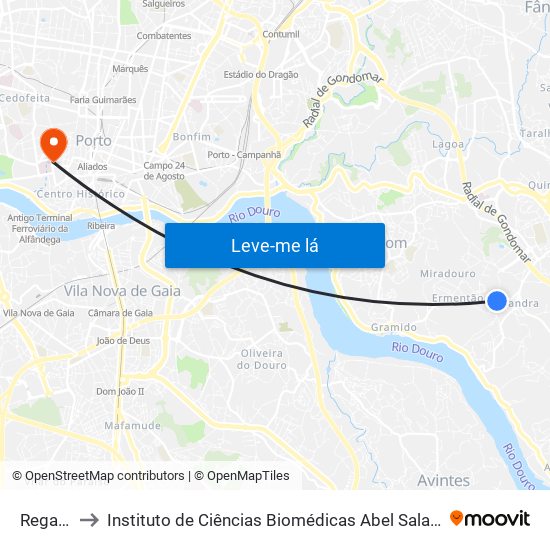 Regatinho to Instituto de Ciências Biomédicas Abel Salazar - Polo de Medicina map