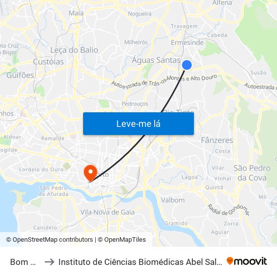 Bom Pastor to Instituto de Ciências Biomédicas Abel Salazar - Polo de Medicina map
