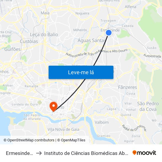 Ermesinde (Estação) to Instituto de Ciências Biomédicas Abel Salazar - Polo de Medicina map