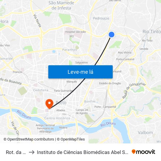 Rot. da Areosa to Instituto de Ciências Biomédicas Abel Salazar - Polo de Medicina map