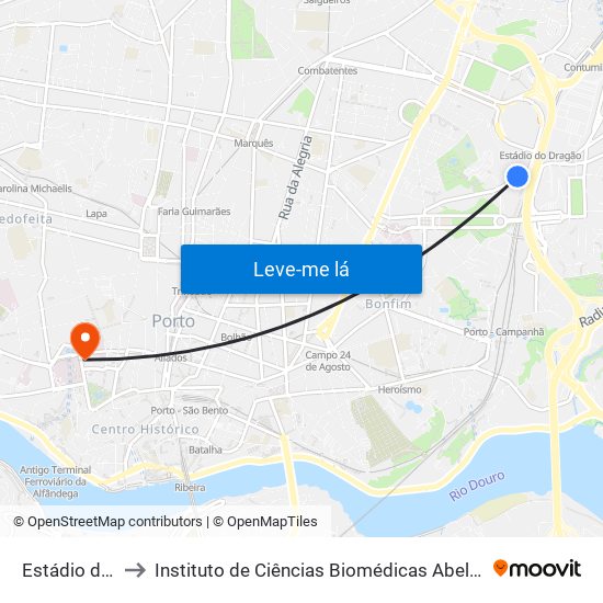 Estádio do Dragão to Instituto de Ciências Biomédicas Abel Salazar - Polo de Medicina map