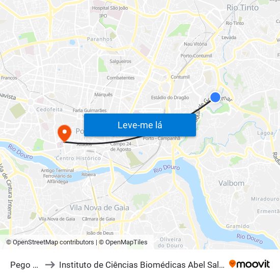 Pego Negro to Instituto de Ciências Biomédicas Abel Salazar - Polo de Medicina map