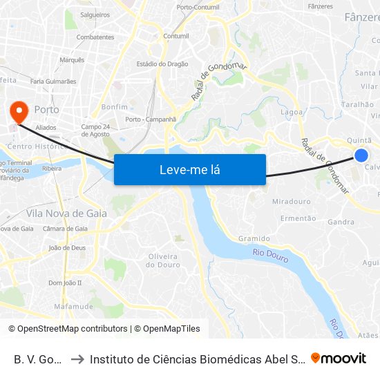 B. V. Gondomar to Instituto de Ciências Biomédicas Abel Salazar - Polo de Medicina map