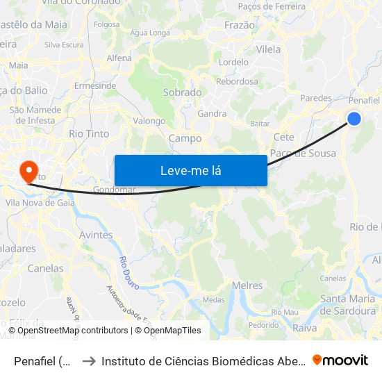 Penafiel (Cemitério) to Instituto de Ciências Biomédicas Abel Salazar - Polo de Medicina map