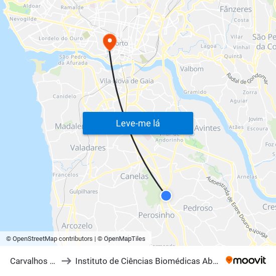 Carvalhos (Interface) to Instituto de Ciências Biomédicas Abel Salazar - Polo de Medicina map