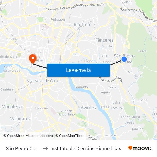São Pedro Cova (Rio Ferreira) to Instituto de Ciências Biomédicas Abel Salazar - Polo de Medicina map