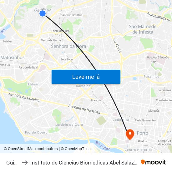 Guifões to Instituto de Ciências Biomédicas Abel Salazar - Polo de Medicina map