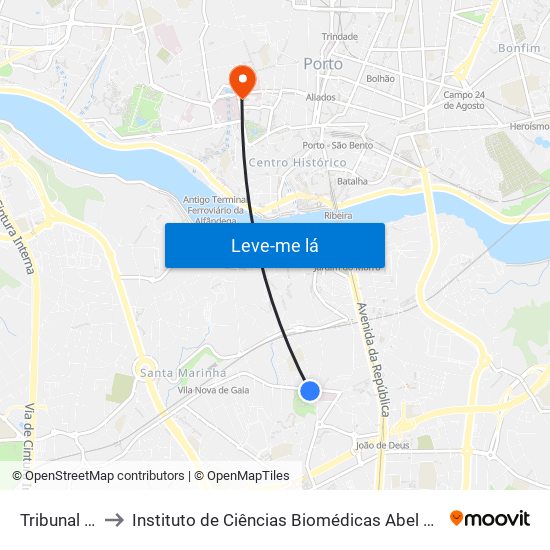 Tribunal de Gaia to Instituto de Ciências Biomédicas Abel Salazar - Polo de Medicina map