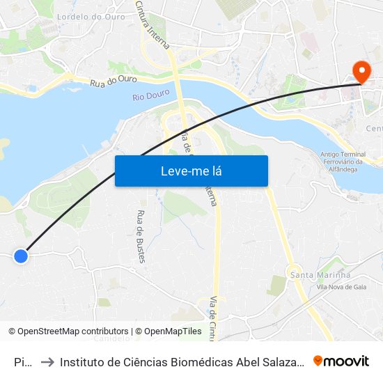 Picão to Instituto de Ciências Biomédicas Abel Salazar - Polo de Medicina map