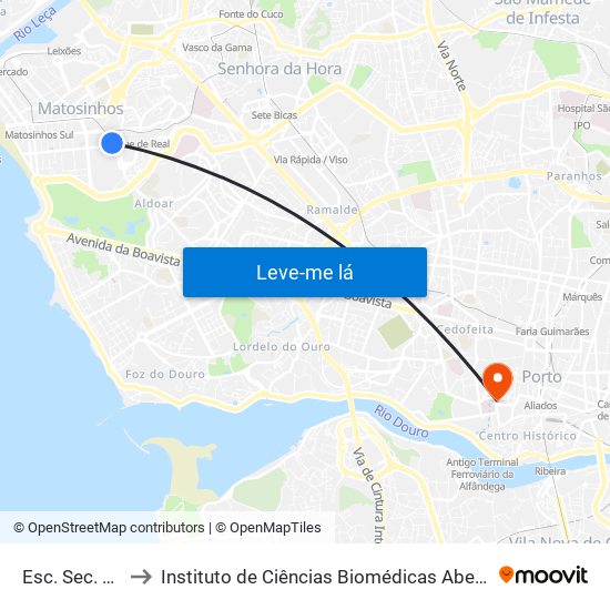 Esc. Sec. J.G. Zarco to Instituto de Ciências Biomédicas Abel Salazar - Polo de Medicina map