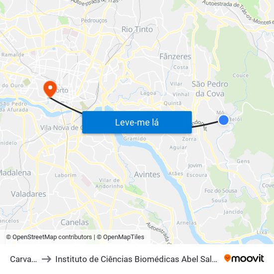 Carvalhal 4 to Instituto de Ciências Biomédicas Abel Salazar - Polo de Medicina map