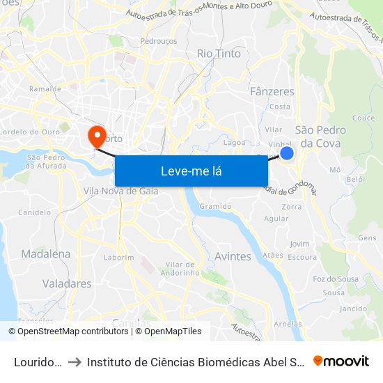 Lourido Bairro to Instituto de Ciências Biomédicas Abel Salazar - Polo de Medicina map