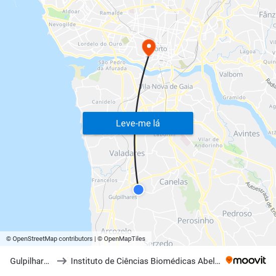 Gulpilhares - Viúva to Instituto de Ciências Biomédicas Abel Salazar - Polo de Medicina map