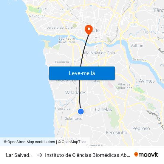 Lar Salvador Brandão to Instituto de Ciências Biomédicas Abel Salazar - Polo de Medicina map