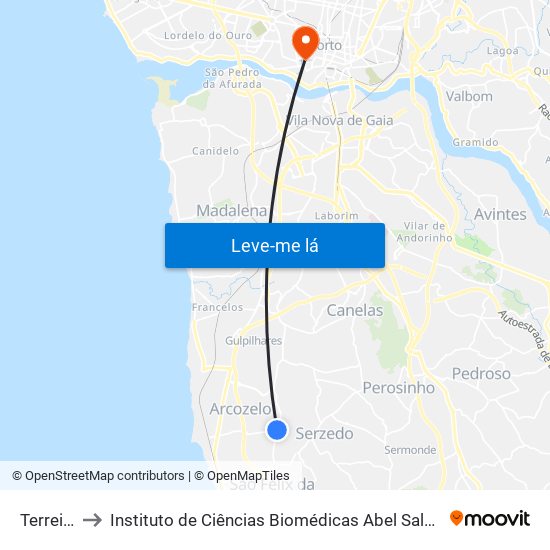 Terreirinho to Instituto de Ciências Biomédicas Abel Salazar - Polo de Medicina map