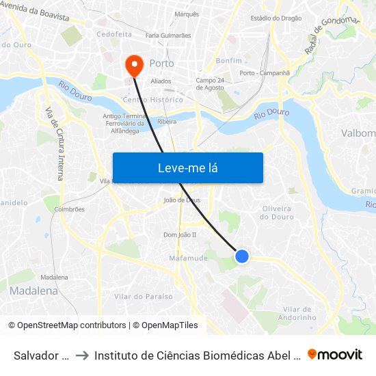 Salvador Caetano to Instituto de Ciências Biomédicas Abel Salazar - Polo de Medicina map