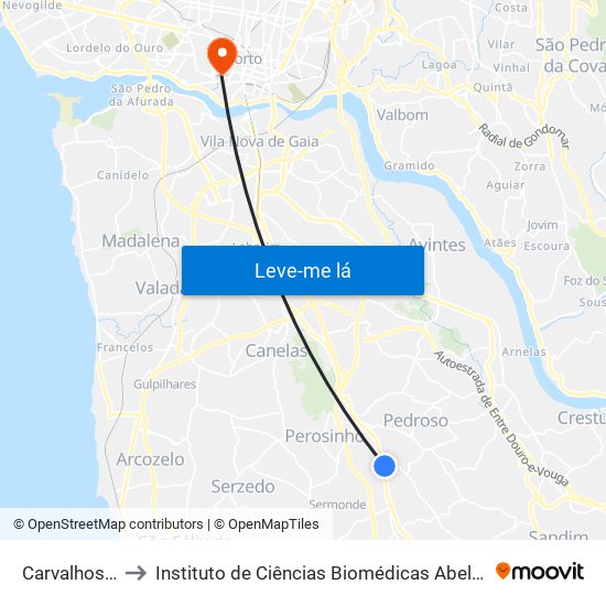 Carvalhos - CEPSA to Instituto de Ciências Biomédicas Abel Salazar - Polo de Medicina map