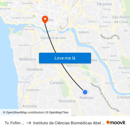 Tv. Fofim d'Aquém to Instituto de Ciências Biomédicas Abel Salazar - Polo de Medicina map