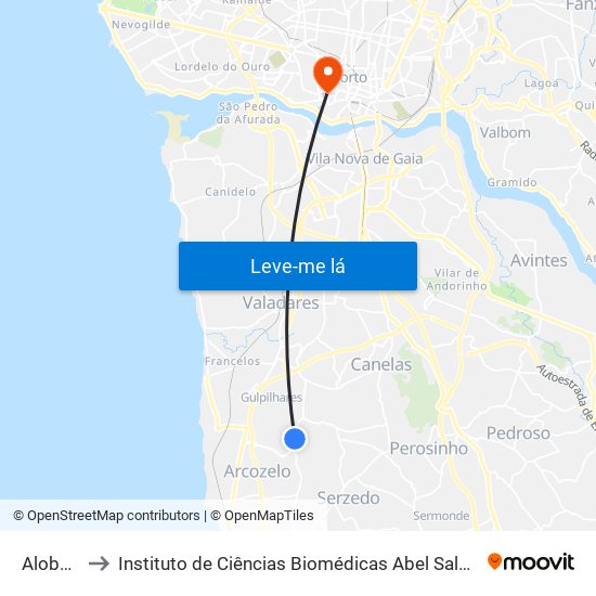 Alober Bar to Instituto de Ciências Biomédicas Abel Salazar - Polo de Medicina map