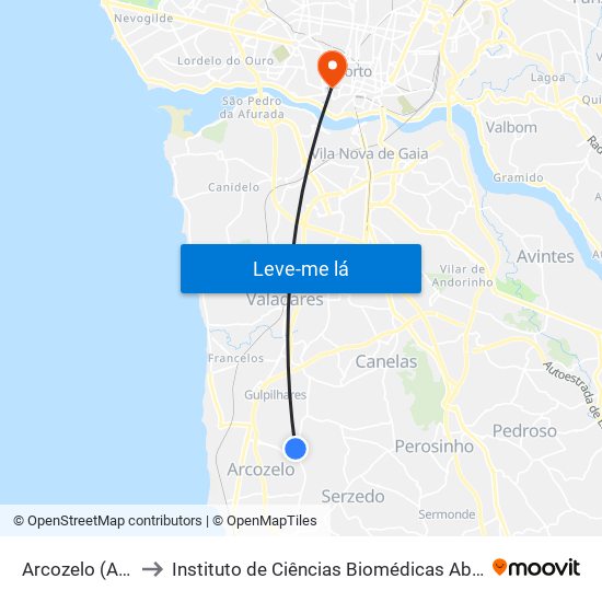 Arcozelo (Av. da Igreja) to Instituto de Ciências Biomédicas Abel Salazar - Polo de Medicina map