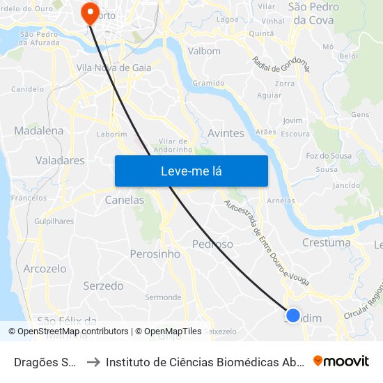 Dragões Sandinenses to Instituto de Ciências Biomédicas Abel Salazar - Polo de Medicina map