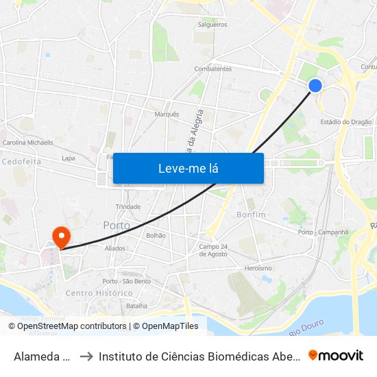 Alameda das Antas to Instituto de Ciências Biomédicas Abel Salazar - Polo de Medicina map