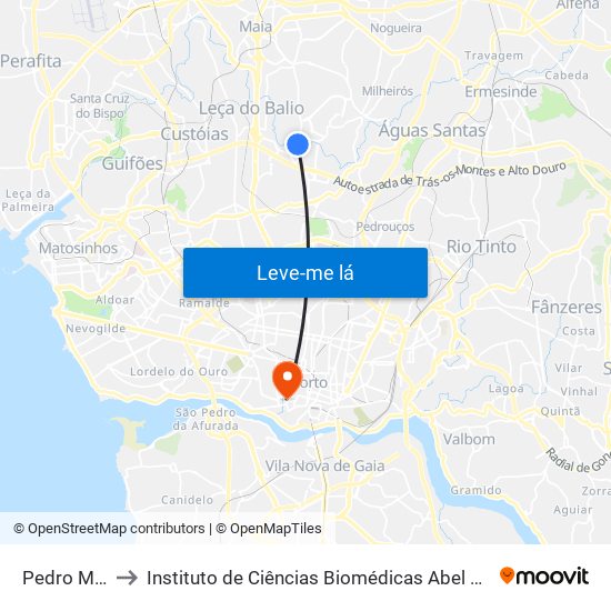 Pedro Mesquita to Instituto de Ciências Biomédicas Abel Salazar - Polo de Medicina map