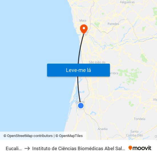 Eucalipto B to Instituto de Ciências Biomédicas Abel Salazar - Polo de Medicina map
