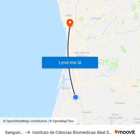 Sanguinheira B to Instituto de Ciências Biomédicas Abel Salazar - Polo de Medicina map
