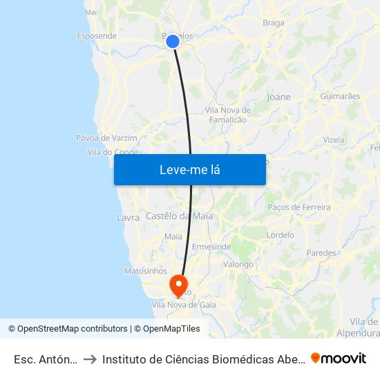 Esc. António Fogaça to Instituto de Ciências Biomédicas Abel Salazar - Polo de Medicina map