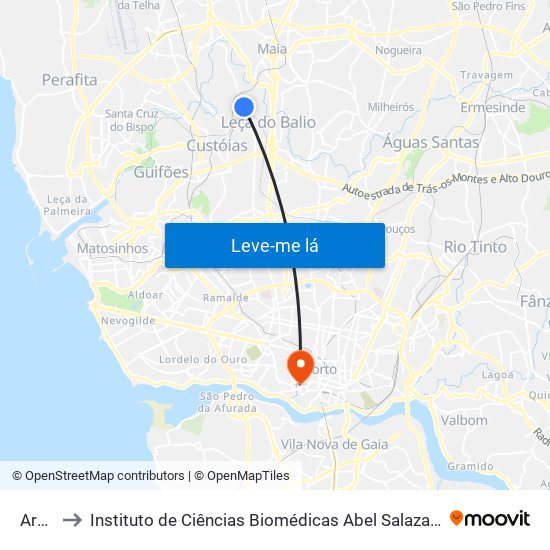 Araújo to Instituto de Ciências Biomédicas Abel Salazar - Polo de Medicina map