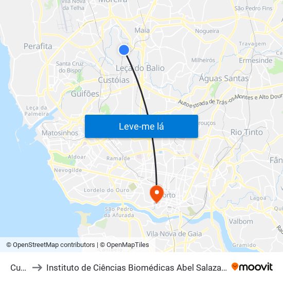 Custió to Instituto de Ciências Biomédicas Abel Salazar - Polo de Medicina map