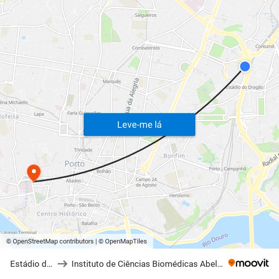 Estádio do Dragão (Terminal) to Instituto de Ciências Biomédicas Abel Salazar - Polo de Medicina map